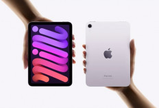 Daftar Harga iPad Mini Terbaru Resmi iBox dan Toko Online