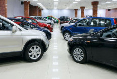 Tips Membeli SUV Bekas Agar Tidak Dapat Unit Bekas Banjir atau Tabrakan