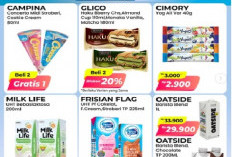 Terakhir Hari Ini 18 Maret 2026! Promo Alfamart Sambut Hari Raya Nyepi Milk Life UHT Beli 1 Gratis 1