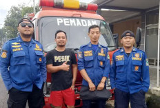 Damkar Respon Cepat Tugas Non Kebakaran, Evakuasi Ular dan Mobil Terkunci 