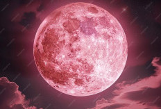 Apa Itu Pink Moon? Mengenal Makna dan Asal-usul Fenomena Langit April