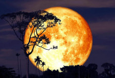 Kenapa Dinamakan Buck Moon? Ini Sejarah di Balik Bulan Purnama Juli