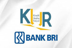 Simulasi Cicilan KUR BRI 2026 Pinjaman Rp75-150 Juta: Suku Bunga Kompetitif Hanya 6% Per Tahun