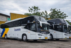 Panduan Lengkap Naik Bus DAMRI Jakarta Bali: Rute, Fasilitas, dan Titik Keberangkatan
