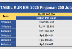 Tabel KUR BRI 2026: Pinjaman 250 Juta, Simak Simulasi Cicilan Mulai Dari Rp 5.4 Juta