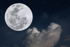 Bulan Purnama Snow Moon Hiasi Langit Indonesia Hari Ini 2 Februari 2026, Cek Waktu Puncaknya!