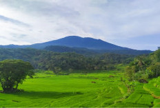 10 Wisata Alam Majalengka Paling Instagramable untuk Libur Lebaran 2026: Destinasi yang Memanjakan Mata