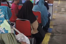 Legalisir Akta Kelahiran Membludak, Disdukcapil Sampai Tambah Meja Layanan