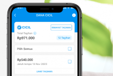 Cara Mengaktifkan Dana Cicil di Aplikasi DANA, Simak Syarat dan Langkahnya!