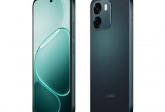 Daftar Harga HP Terbaru September 2026: Dari Tecno, Oppo, hingga Flagship Killer
