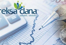 Cara Investasi Reksa Dana untuk Pemula Modal Rp100 Ribu Langsung Untung 