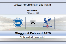 Siapa yang akan Bangkit? Brighton vs Crystal Palace, Jadwal Pertandingan, Crystal Palace Unggul Head to Head