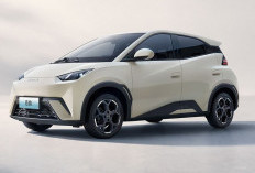 Berapa Biaya Cas BYD Seagull per Bulan? Lebih Hemat dari Motor Matik!