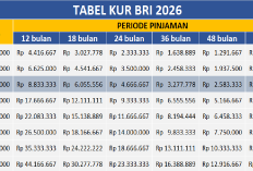 Angsuran mulai Rp 72 ribuan per hari, Tabel KUR BRI 2026 Pinjaman 100 Juta, serta Cara Daftar Onlinenya