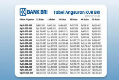 Cicilan Cuma 1 Jutaan? Cek Simulasi KUR BRI 2026 Pinjaman 50-100 Juta Bunga Rendah