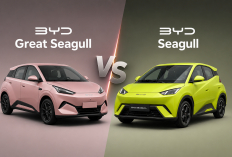 Perbedaan BYD Great Seagull vs BYD Seagull Standar: Apa Saja yang Baru?
