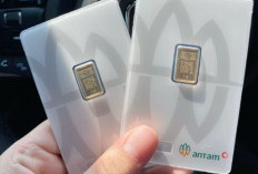 Terpantau Naik Rp 40.000/gram, Update Harga Emas Antam Logam Mulia Hari Ini 24 Februari 2026
