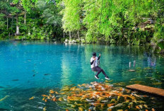 10 Tempat Wisata Libur Lebaran di Kuningan 2026 yang Ramah Anak dan Keluarga