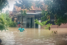 Dikepung 21 Sungai Bersedimen Tebal, Banjir Ancam Kabupaten Cirebon Setiap Musim Hujan