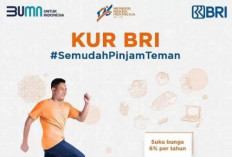 Syarat Pengajuan KUR BRI 2026 Pinjaman 500 Juta: Lengkap dengan Dokumen Wajib