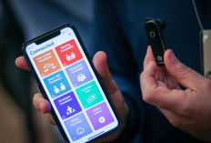 Akurasi Penerjemah AI 2025, Benarkah Perangkat Khusus Mengungguli Aplikasi Ponsel?