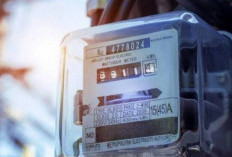 Panduan Cek Tarif Listrik Secara Online Lewat HP Tanpa Ribet