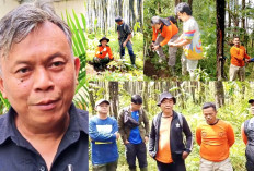 Hijaukan Ciremai, 2 Tahun Total 100.000 Bibit Disebar Paguyuban Silihwangi Majakuning