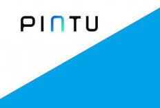 Panduan Investasi Crypto Aman Lewat Pintu