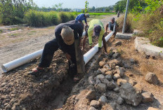 Krisis Air Tiga Tahun, 65 Hektare Sawah di Geyongan Dapat Bantuan Pompanisasi