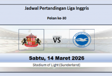Sunderland vs Brighton: Prediksi, Jadwal, Performa, dan Head to Head di Liga Inggris