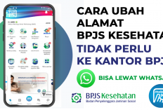 Lengkap! Cara Mudah Ubah Alamat BPJS Kesehatan Online: Lewat JKN Mobile dan WhatsApp Pandawa Terbaru 2026
