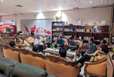 Tahun Depan Gaji PPPK Paruh Waktu Masih Jadi Beban Daerah