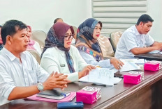 DPMPTSP Akan Petakan Potensi Investasi hingga Tingkat Desa