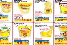 Katalog Promo JSM Indomaret Minggu Ini, Popok Bayi Rp 42.500, Minyak Rp 37.200, Periode 13-15 Maret 2026