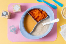 Rekomendasi Makanan MPASI Pertama Agar Bayi Lahap Dan Berat Badan Naik