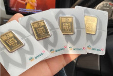 Terpantau Naik Rp 68.000: Update Harga Emas Antam Terbaru Hari Ini 21 Februari 2026