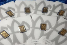 Terpantau Naik Rp 50.000, Harga Emas Antam Terbaru Hari Ini 15 Februari 2026