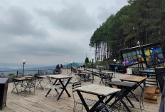 12 Cafe Kuningan View Alam dan Gunung Ciremai Terbaik 2026