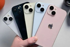 Daftar Harga iPhone 15 di iBox Terbaru 2026, Lengkap Semua Varian Memori