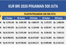 Pinjaman 500 Juta, Angsuran Mulai Dari Rp 10 Jutaan, Tenor 5 Tahun, KUR BRI 2026 Mudah Untuk Diajukan