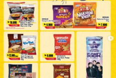 PROMIL Progam Ngemil Diskon 35%, Promo Terbaru Alfamart Periode 1 - 15 April 2026, Boncabe Pangsit Rp 4.900