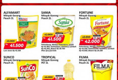Promo JSM Alfamart Spesial Kemerdekaan: Minyak Goreng 2L Mulai Rp41.500 dan Diskon Spesial!