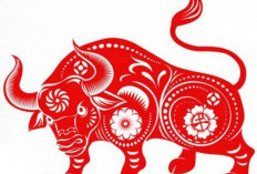 Ramalan Shio Kerbau di Tahun 2026: Karier dan Keuangan 