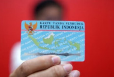 Langkah Mudah Cek NIK KTP Terdaftar Atau Belum Secara Online