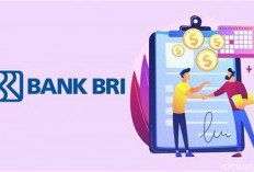 Simulasi Angsuran KUR BRI 50 Juta Terbaru: Cicilan Ringan Mulai Rp900 Ribuan