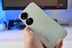 Pilihan Gadget Murah 2026: Daftar HP Sejutaan dengan Fitur Paling Kompetitif