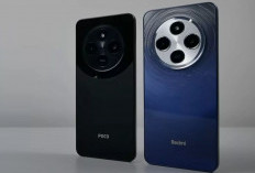Perbandingan Smartphone Brand Xiaomi: Pilih Xiaomi, Redmi, atau POCO? 