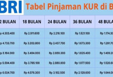 Tabel KUR BRI 2026 Pinjaman Rp 200-300 Juta: Cicilan 5 Tahun Hanya Rp 4 Jutaan