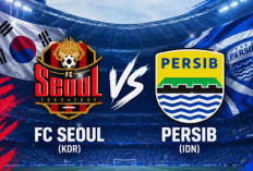 ACL 2026 : Hasil Persib Bandung vs FC Seoul Maung Bandung Raih 3 Point 