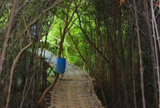 10 Tempat Wisata Hits di Indramayu untuk Libur Lebaran 2026, Cocok buat Healing Bareng Keluarga!